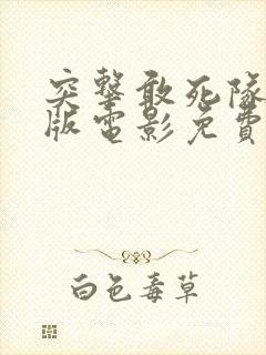 突击敢死队国语版电影免费观看