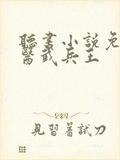 听书小说免费听医武兵王