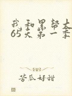 我和黑帮大佬365天第一季封面