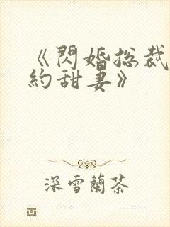 《闪婚总裁的契约甜妻》