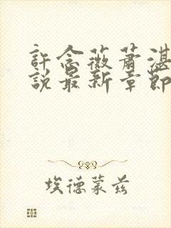 许念薇萧湛明小说最新章节更新