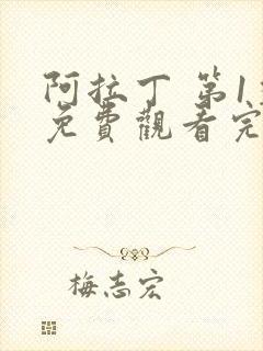 阿拉丁 第1季免费观看完整版在线全集封面