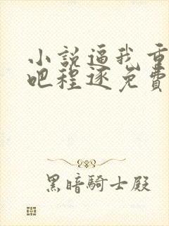 小说逼我重生是吧程逐免费阅读免费