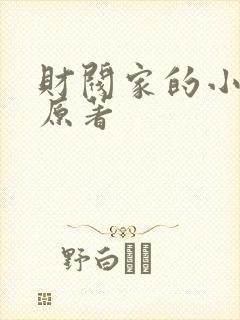 财阀家的小儿子原著封面