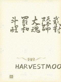 斗罗大陆武魂觉醒和魂师对决