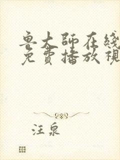 鲁大师在线观看免费播放视频软件