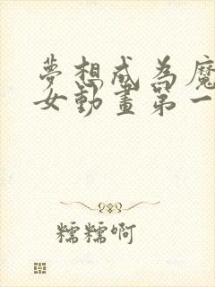 梦想成为魔法少女动画第一季封面