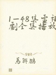 1—48集电视剧全集播放封面