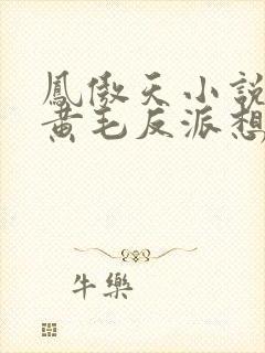 凤傲天小说里的黄毛反派想幸福