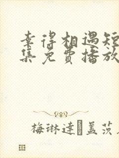 幸得相遇短剧全集免费播放在线观看封面