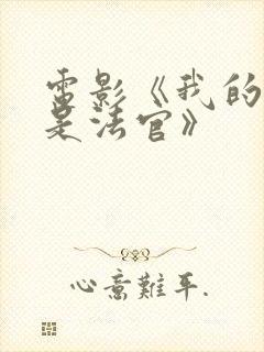 电影《我的姐姐是法官》封面