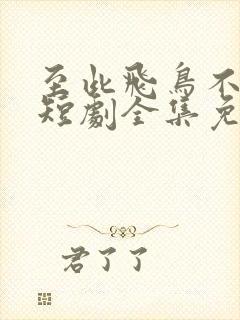 至此飞鸟不相逢短剧全集免费观看