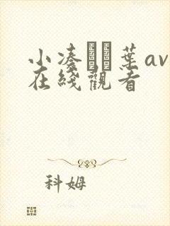 小凑よつ叶av在线观看