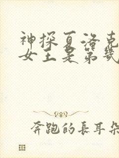 神探夏洛克施虐女王是第几集