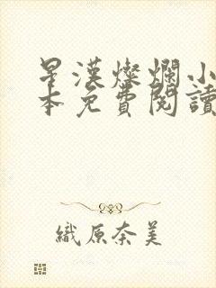 星汉灿烂小说完本免费阅读