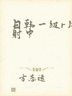 日韩一级r片内射中