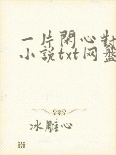 一片闲心对落花小说txt网盘