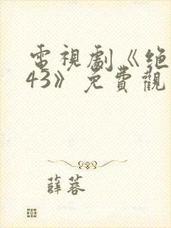 电视剧《绝密543》免费观看全集