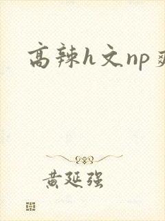 高辣h文np爽