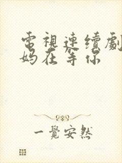 电视连续剧 妈妈在等你