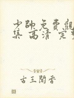 少帅免费观看全集 高清 完整封面