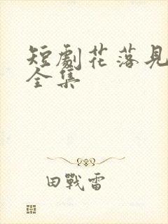 短剧花落见流萤全集封面