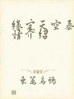 缘定天空泰剧剧情介绍