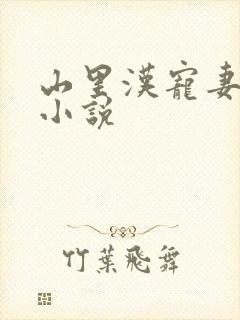 山里汉宠妻无度小说