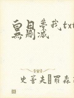 白日梦我txt无删减