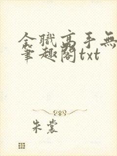 全职高手无弹窗笔趣阁txt