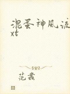 混蛋神风流史txt封面