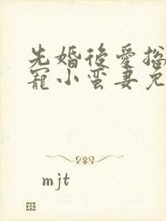 先婚后爱总裁娇宠小蛮妻免费封面