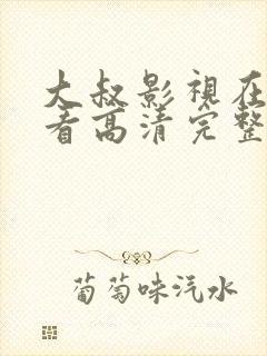 大叔影视在线观看高清完整版免费