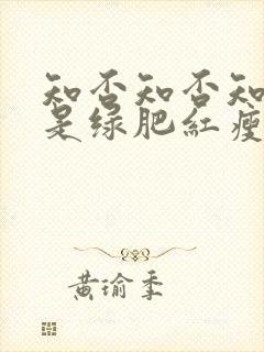 知否知否知否应是绿肥红瘦是哪朝的