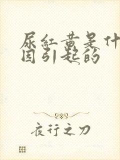 尿红黄是什么原因引起的