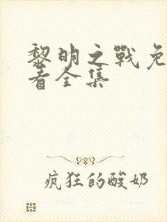 黎明之战免费观看全集封面