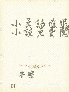 小柔的催眠日记小说免费阅读无弹窗