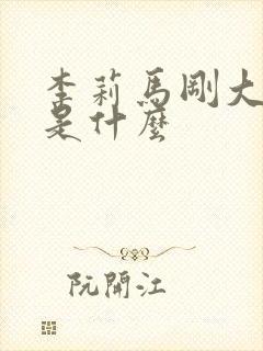 李莉马刚大结局是什么