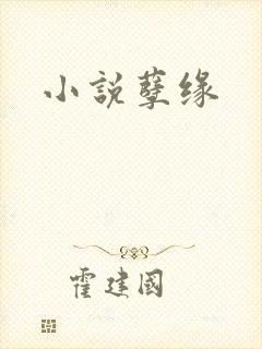 小说孽缘