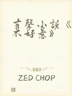 有声小说《道士不好惹》