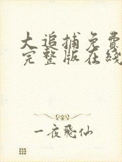 大追捕免费观看完整版在线全集