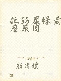 拉的尿绿黄是什么原因封面