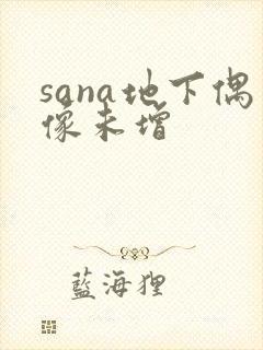 sana地下偶像未增