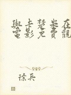 与卡楚米在一起电影免费观看封面