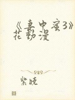 《妻中蜜3》樱花动漫