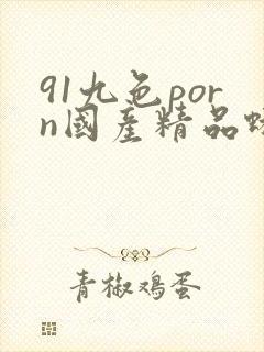 91九色porn国产精品蝌蚪视频