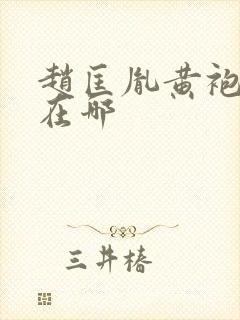 赵匡胤黄袍加身在哪封面