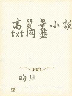 高质量小说合集txt网盘