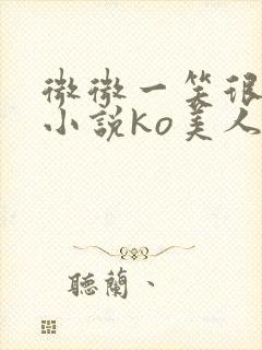 微微一笑很倾城小说ko美人师兄封面