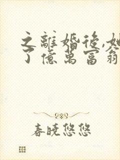 之离婚后,她成了亿万富翁